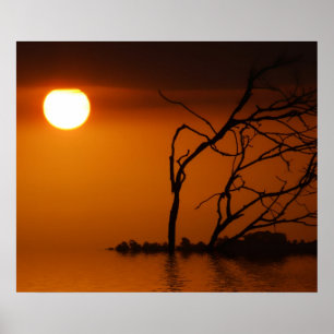 Sonnenuntergang Sonne Silhouette Poster