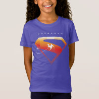 Sonnenuntergang Superman Shield