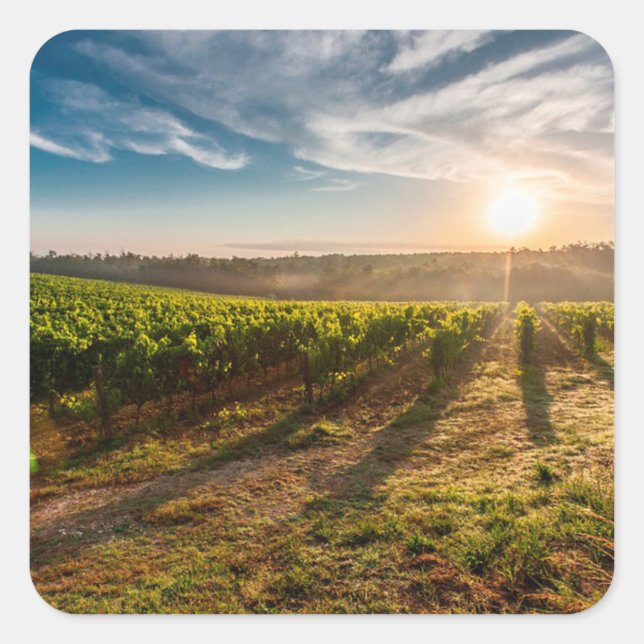 Sonnenuntergang über dem Aufkleber (Vorderseite)