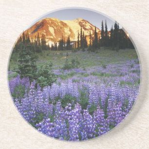 Sonnenuntergang über dem Berg Adams und einer suba Untersetzer