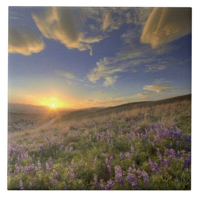 Sonnenuntergang über dem Bitterroot Gebirge und ri Fliese (Vorderseite)