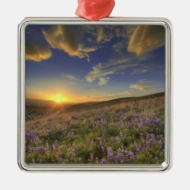 Sonnenuntergang über dem Bitterroot Gebirge und ri Silbernes Ornament (Vorne)