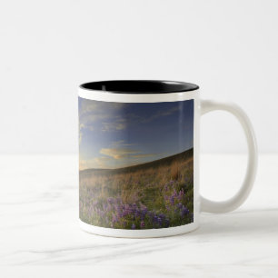 Sonnenuntergang über dem Bitterroot Gebirge und ri Zweifarbige Tasse