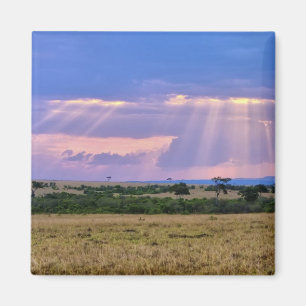 Sonnenuntergang über dem Masai Mara. Magnet