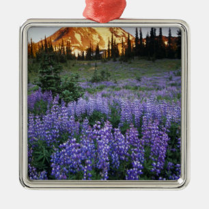 Sonnenuntergang über dem Mt. Adams und einer subal Ornament Aus Metall