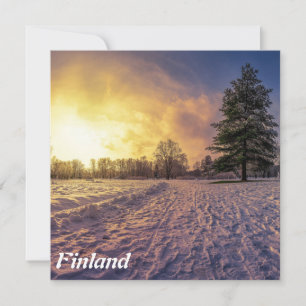 Sonnenuntergang über dem schneebedeckten Winterpar