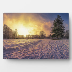Sonnenuntergang über dem schneebedeckten Winterpar Fotoplatte