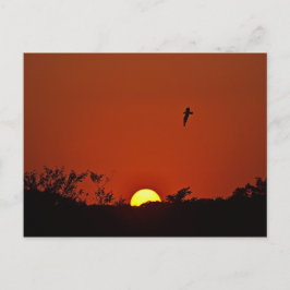 Sonnenuntergang über dem Sumpf Postkarte