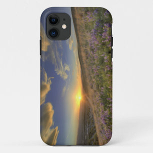 Sonnenuntergang über den Bitterroot Mountains und Case-Mate iPhone Hülle
