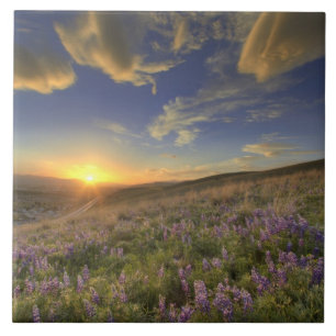 Sonnenuntergang über den Bitterroot Mountains und Fliese