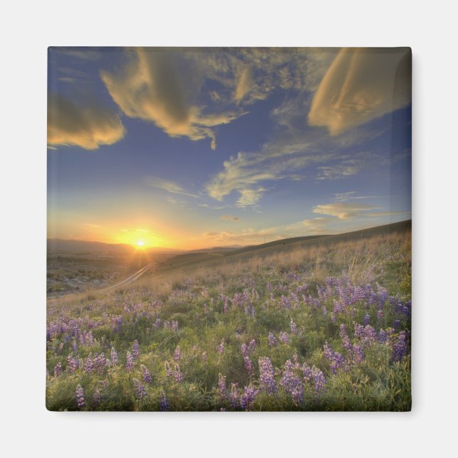 Sonnenuntergang über den Bitterroot Mountains und  Magnet (Vorne)