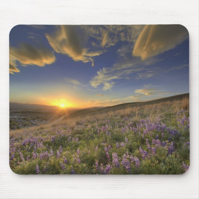Sonnenuntergang über den Bitterroot Mountains und  Mousepad (Vorne)