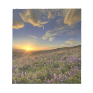 Sonnenuntergang über den Bitterroot Mountains und Notizblock