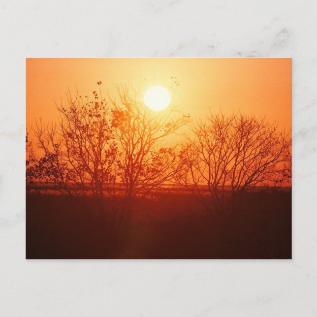 Sonnenuntergang über der Bayou Postkarte (Vorderseite)