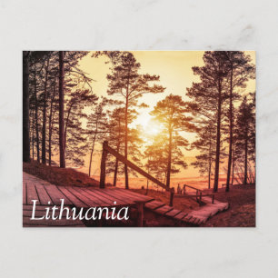 Sonnenuntergang über einem Holzweg im Kiefernwald Postkarte