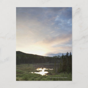 Sonnenuntergang über einem nebelhaften Teich Postkarte