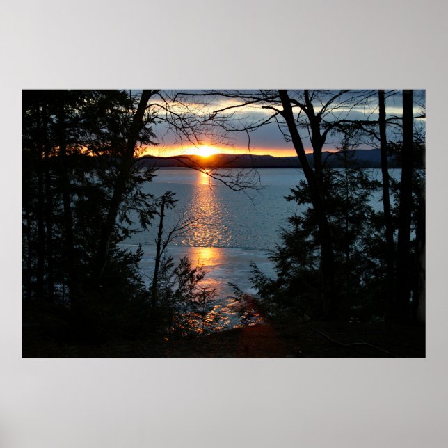 Sonnenuntergang über Forest Lake Poster (Vorne)