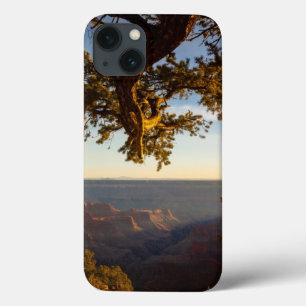 Sonnenuntergang über Grand Canyon iPhone 13 Hülle