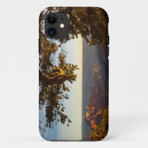 Sonnenuntergang über Grand Canyon Case-Mate iPhone Hülle