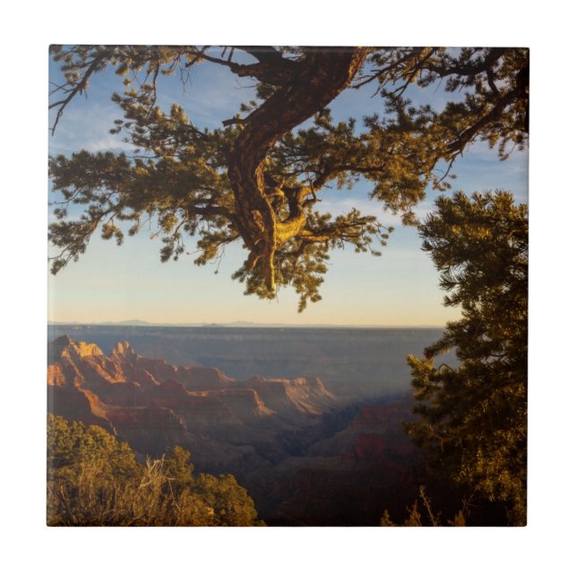 Sonnenuntergang über Grand Canyon Fliese (Vorderseite)