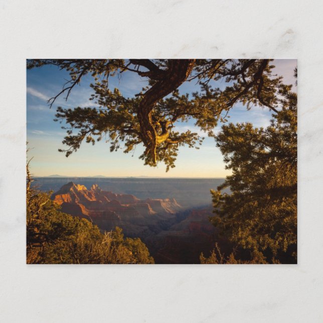 Sonnenuntergang über Grand Canyon Postkarte (Vorderseite)