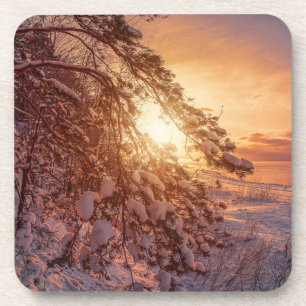 Sonnenuntergang über Meer und schneebedeckter Kief Getränkeuntersetzer