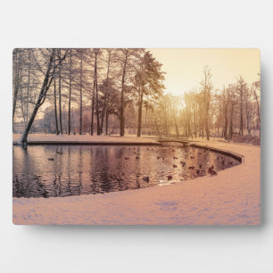 Sonnenuntergang über Park mit einem kleinen eisige Fotoplatte