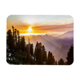 Sonnenuntergang über Wald Magnet