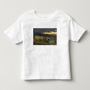 Sonnenuntergang über Weinbergen und historische B Kleinkind T-shirt