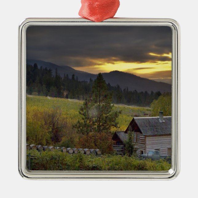 Sonnenuntergang über Weinbergen und historische Bl Silbernes Ornament (Vorne)