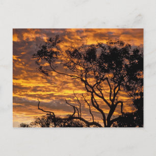 Sonnenuntergang, Uluru-Kata-Tjuta-Nationalpark, Postkarte