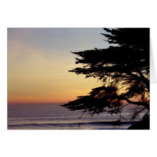 Sonnenuntergang und Baum, Santa Cruz (Karte)