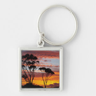 Sonnenuntergang und Gummibaum, Binalong Bay, Bay o Schlüsselanhänger