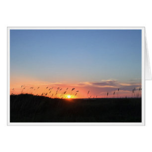 Sonnenuntergang und Seehafer auf Matagorda Strand