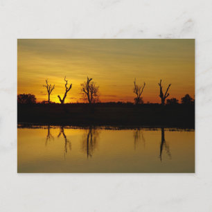 Sonnenuntergang, Yellow Water Billabong Postkarte