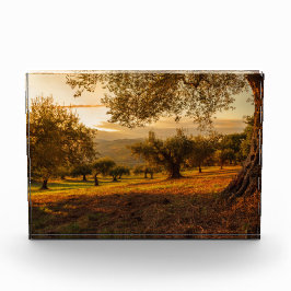 Sonnenuntergänge Herbstbäume Fotoblock