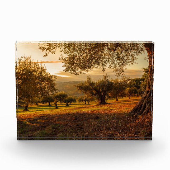 Sonnenuntergänge Herbstbäume Fotoblock (Vorderseite)