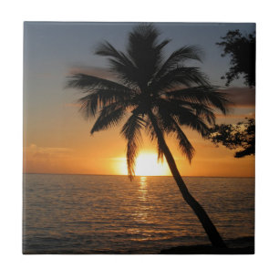 Sonnenuntergangkokosnuss-Palme Fidschifrieden und Fliese