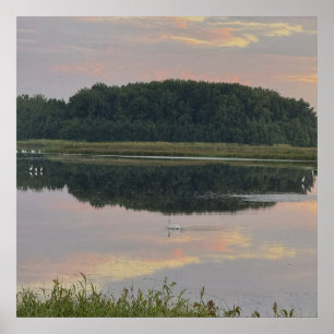 Sonnenuntergangs-Reflexionen-Wasserlandschaftspost Poster
