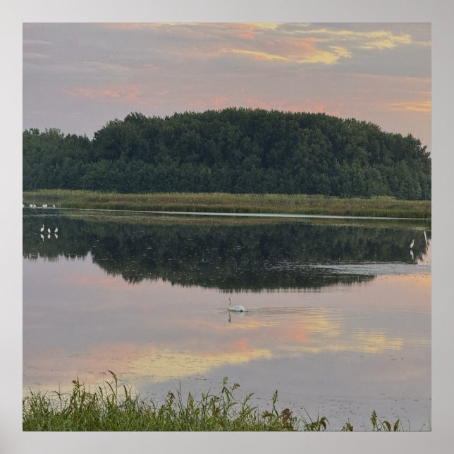 Sonnenuntergangs-Reflexionen-Wasserlandschaftspost Poster (Vorne)