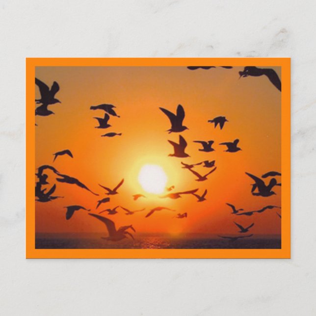 Sonnenuntergangs-Szene mit orangem Rand Postkarte (Vorderseite)