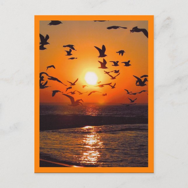 Sonnenuntergangs-Szene mit orangem Rand Postkarte (Vorderseite)