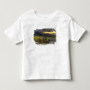 Sonnenuntergangshimmel über Weinbergen und histori Kleinkind T-shirt
