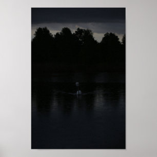 Sonnenuntergangssee Regen Schwäne Natur Landschaft Poster