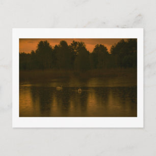 Sonnenuntergangssee Regen Schwäne Natur Landschaft Postkarte