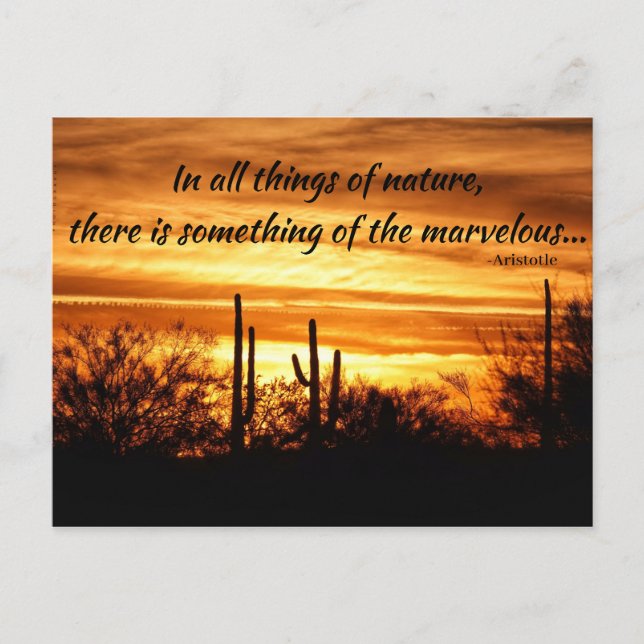 Sonnenuntergangsuntergänge Postkarte (Vorderseite)