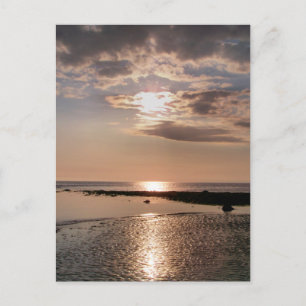 SONNENUNTERNEHMEN POSTKARTE