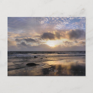 SONNENUNTERNEHMEN POSTKARTE