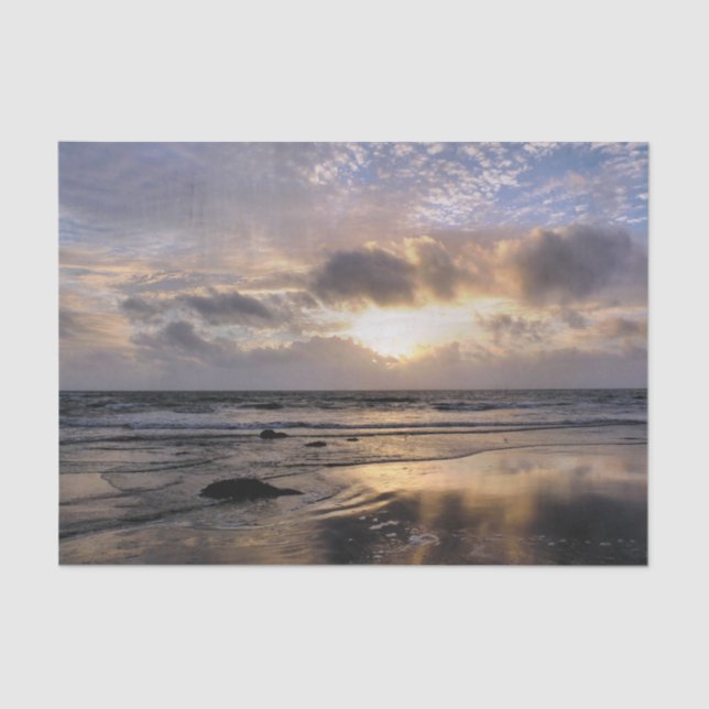 SONNENUNTERNEHMEN SEIDENPAPIER (Vorderseite)