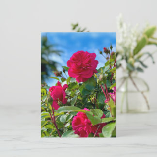 Sonnenverwöhnte Garten-Blumenfotografie Karte